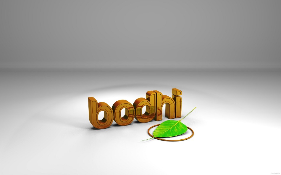 bodhi_white_wp