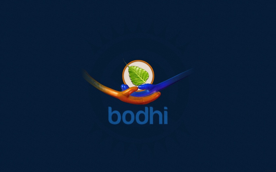 bodhilinux blue