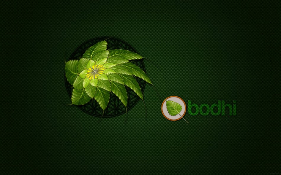 Wallpapers Bodhi Linux Green Wallpapers Bodhi Linux Green